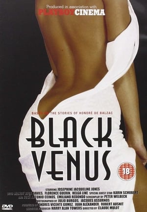 Black Venus poszter