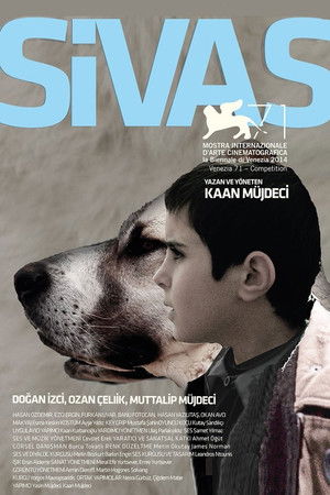 Sivas poszter
