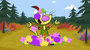 Nature Cat Season 1 Ep.12 12. epizód