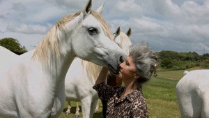 Lenita háttérkép