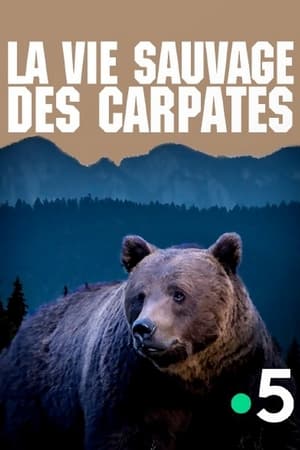 La Vie sauvage des Carpates poszter