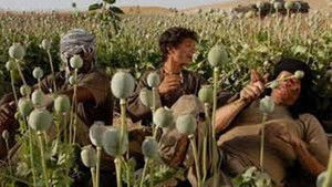 Opium War háttérkép