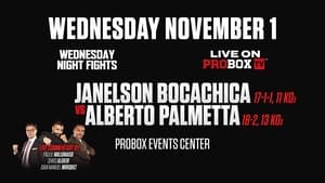 Janelson Bocachica vs. Alberto Palmetta háttérkép