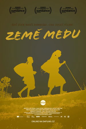 Méz - királynő poszter