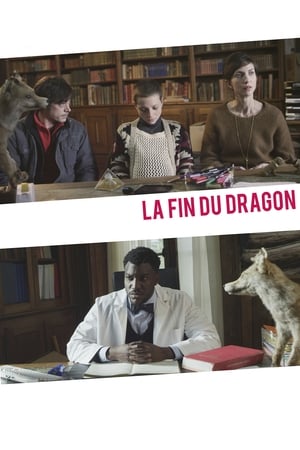 La Fin du Dragon poszter