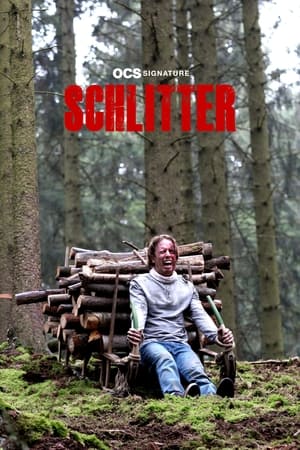 Schlitter poszter