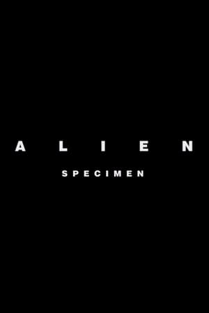 Alien: Mintapéldány poszter