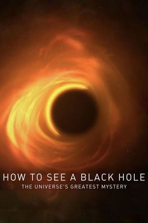 How to See a Black Hole: The Universe's Greatest Mystery poszter