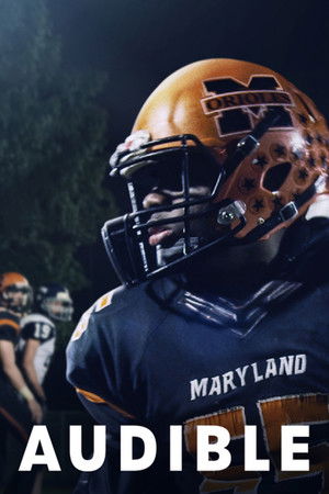 Minden nehézség ellenére poszter