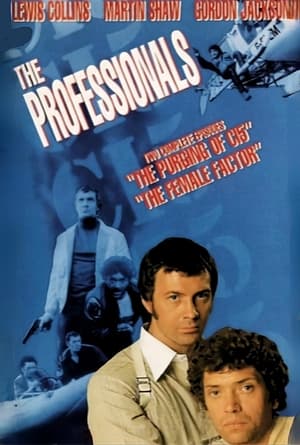 The Professionals poszter