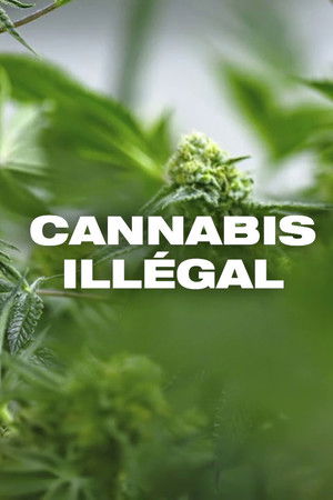 Cannabis illégal poszter