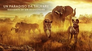 Élet az Okavango-delta környékén háttérkép