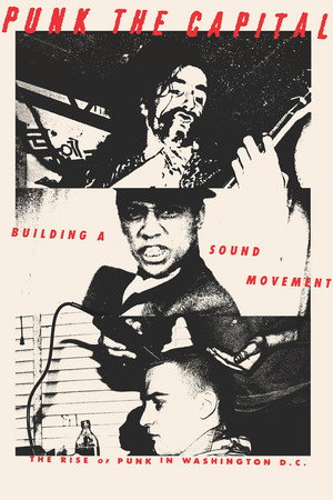 Punk the Capital: Building a Sound Movement poszter