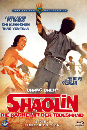 Shaolin bosszúállók poszter