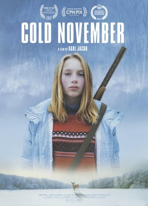 Cold November poszter