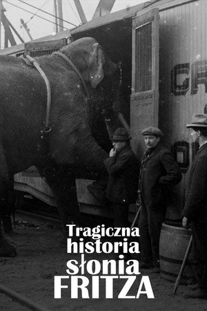 La Tragique Histoire de Fritz l'éléphant poszter