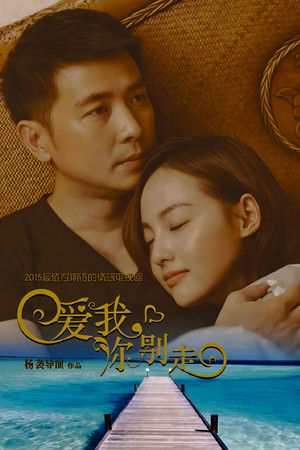 爱我，你别走 poszter