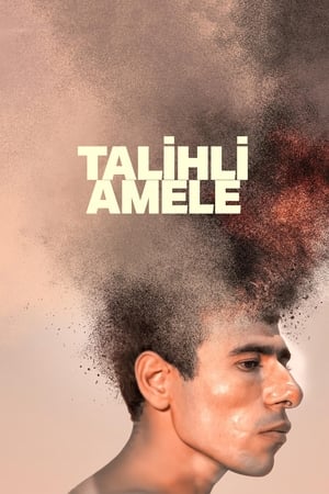 Talihli Amele