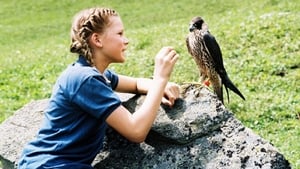 Der Sommer des Falken háttérkép