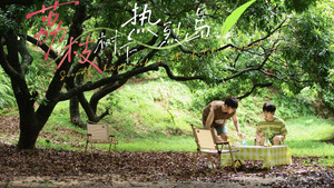 荔枝树下热烈岛 kép