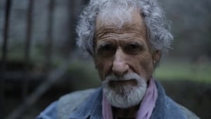 Frank Serpico háttérkép