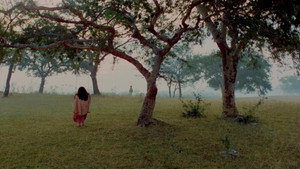 তাহাদের কথা háttérkép