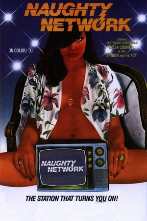 Naughty Network poszter