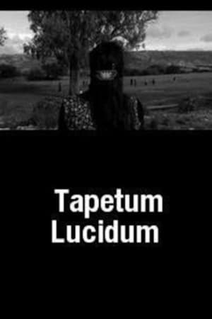 Tapetum Lucidum