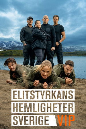 Elitstyrkans hemligheter - Sverige poszter