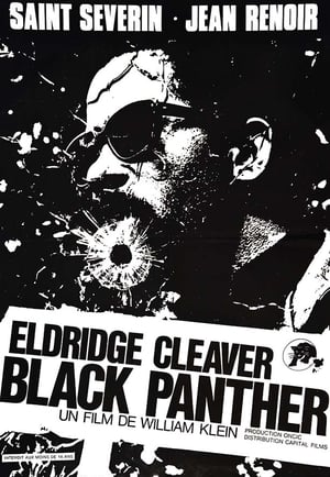 Eldridge Cleaver, Black Panther