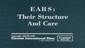 Ears: Their Structure and Care háttérkép