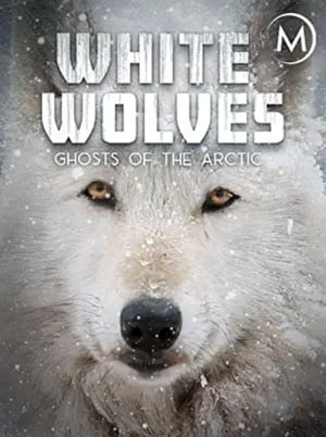 White Wolves: Ghosts of the Arctic poszter