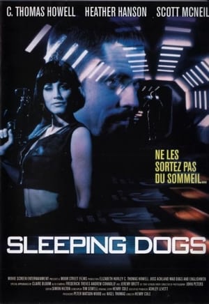 Sleeping Dogs poszter