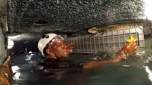 I'm a Celebrity...Get Me Out of Here! Season 19 Ep.8 8. epizód