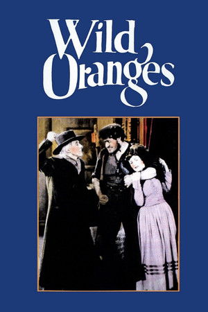 Wild Oranges poszter