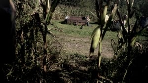 The Fields háttérkép