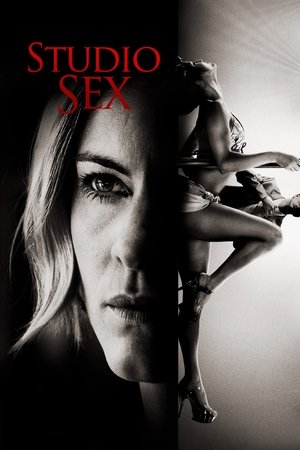 Annika Bengtzon - A bűn nyomában: Studio Sex