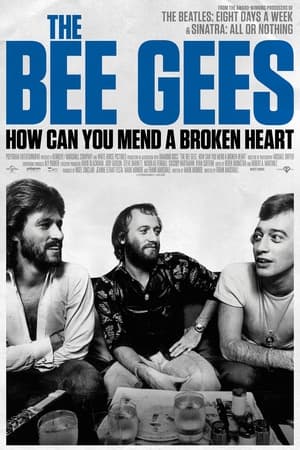 The Bee Gees: How Can You Mend a Broken Heart poszter