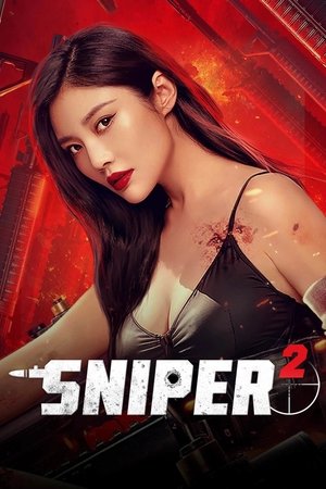 狙击者 2 poszter