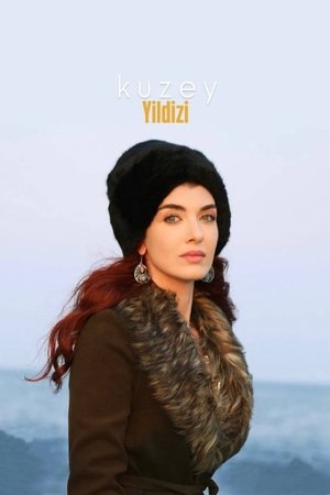 Kuzey Yıldızı: İlk Aşk poszter