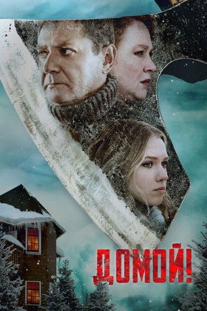 Домой poszter