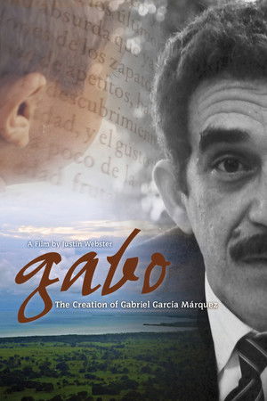 Gabo: la magia de lo real poszter