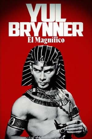 Les Mille et Une Vies de Yul Brynner poszter