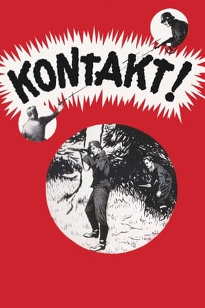 Kontakt! poszter