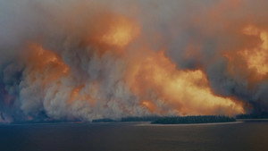 The Fire in Our Hearts háttérkép