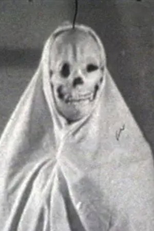 Miss Frankenstein poszter