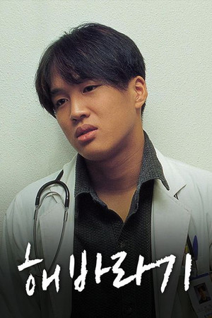 해바라기