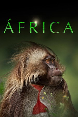 A varázslatos Afrika poszter