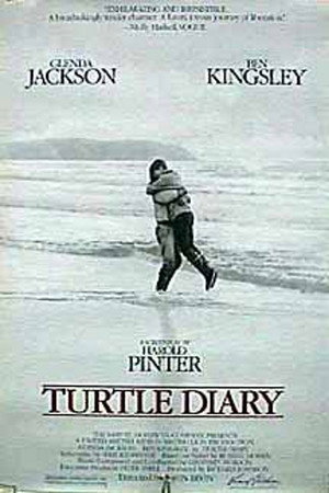 Turtle Diary poszter