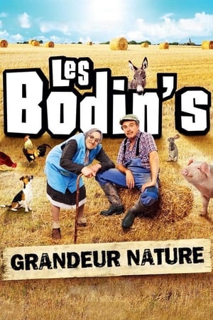 Les Bodin's : Grandeur Nature (@Zenith de Limoges) poszter